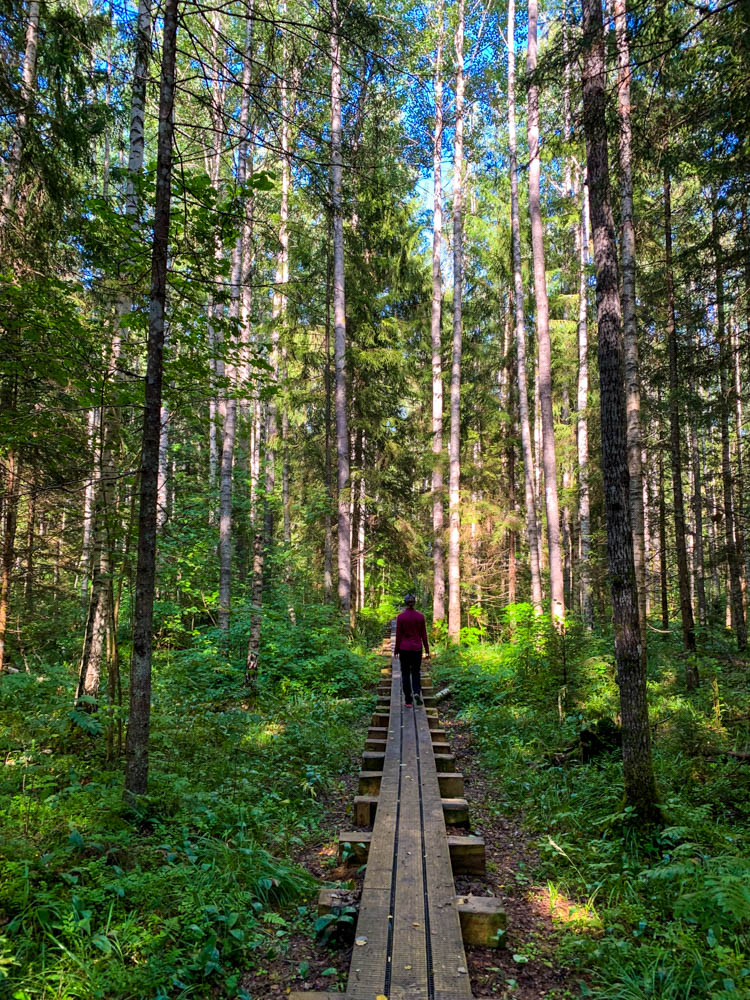 Melanie läuft auf einem Holzsteg durch den Wald im Soomaa Nationalpark. Aus Städte-Hopping wird Nationalpark-Hopping