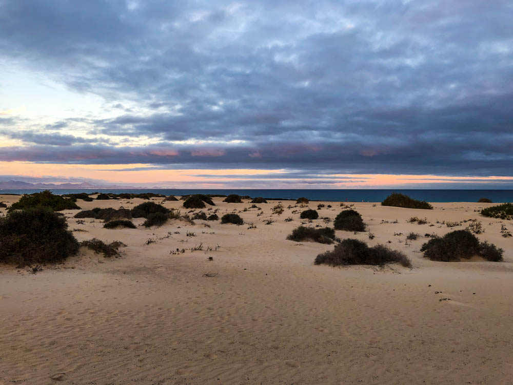 Dünen vor Corralejo. Am Horizont ist der Atlantik zu sehen sowie ein Wolkenmeer, welches vom Sonnenuntergang leicht orange verfärbt ist.
