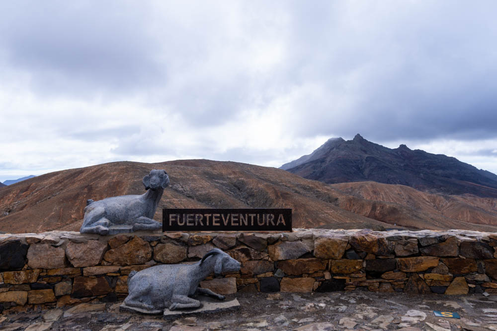 Aussichtspunkt im Landesinnere. Im Vordergrund sind zwei Skulpturen von Ziegen und ein Schild "Fuerteventura" zu sehen. Im Hintergrund ist die Hügellandschaft Fuerteventuras.