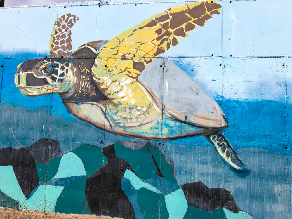Streetart an einer Mauer in Jandia. Es ist eine große Schildkröte welche im Wasser schwimmt zu sehen.
