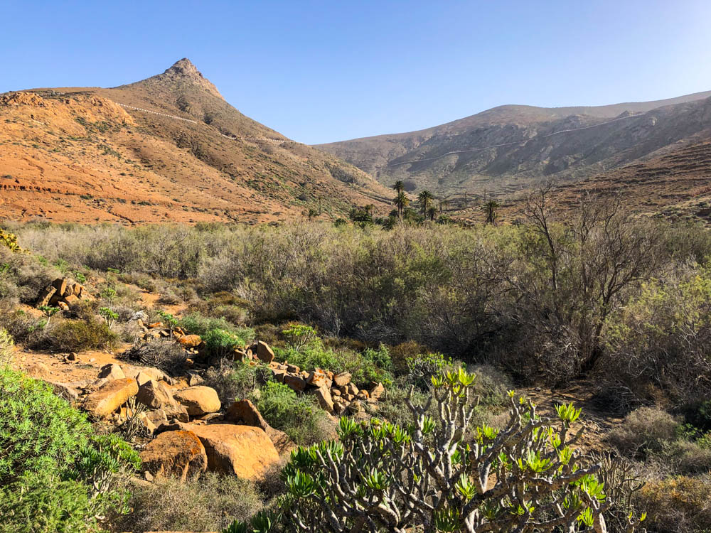 Landschaftsaufnahme vom Tal Barranco de las Peñitas. Es gibt sehr viel grüne Pflanzen. Links im Bild ist ein hoher spitzer Berg. Im Hintergrund ist die Hügellandschaft von Fuerteventura zu sehen. Der Himmel ist blau und wolkenlos.