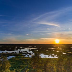 Von der Küste ins Landesinnere Finnlands und zurück an die Küste: Sonnenuntergang in einem Nationalpark im Moor.