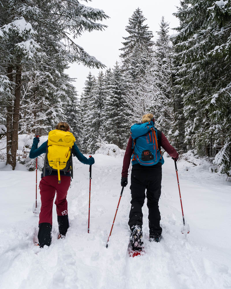 Melanie und Julian laufen mit ihren Schneeschuhen in den Wald . Es ist ein richtiges Winter Wonderland. Zurück in Deutschland - Schneeschuhwanderung