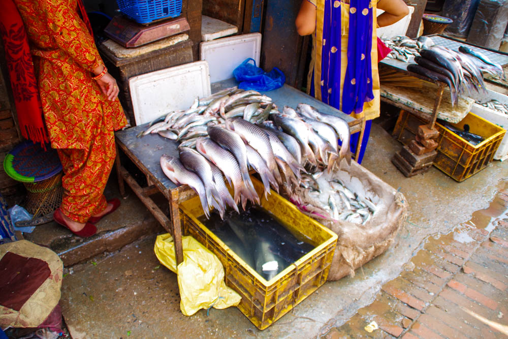 Straßenstand mit Lebensmittel in Bhaktapur. Fische liegen u.a. auf einem Tisch aus. Fernreise Nepal Eindrücke