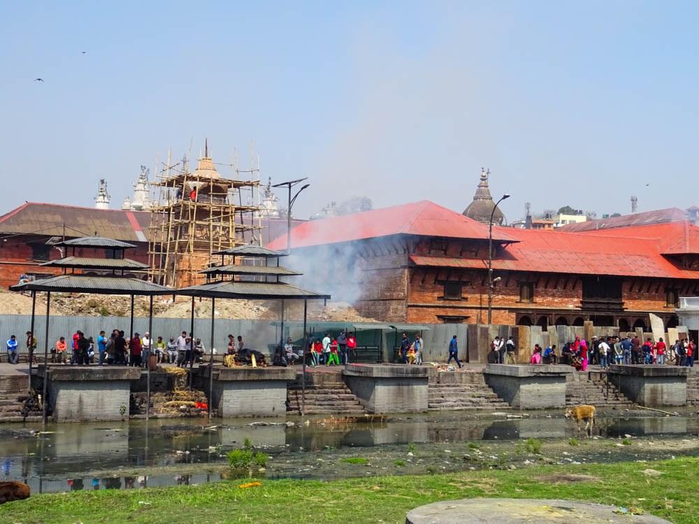 Es finden gerade mehrere Verbrennungszeremonien in Pashupatinath statt. An mehreren Plätzen stehen Menschen und der Rauch steht über der Anlage. In dem Fluss vor diesen Plätzen badet eine Kuh.