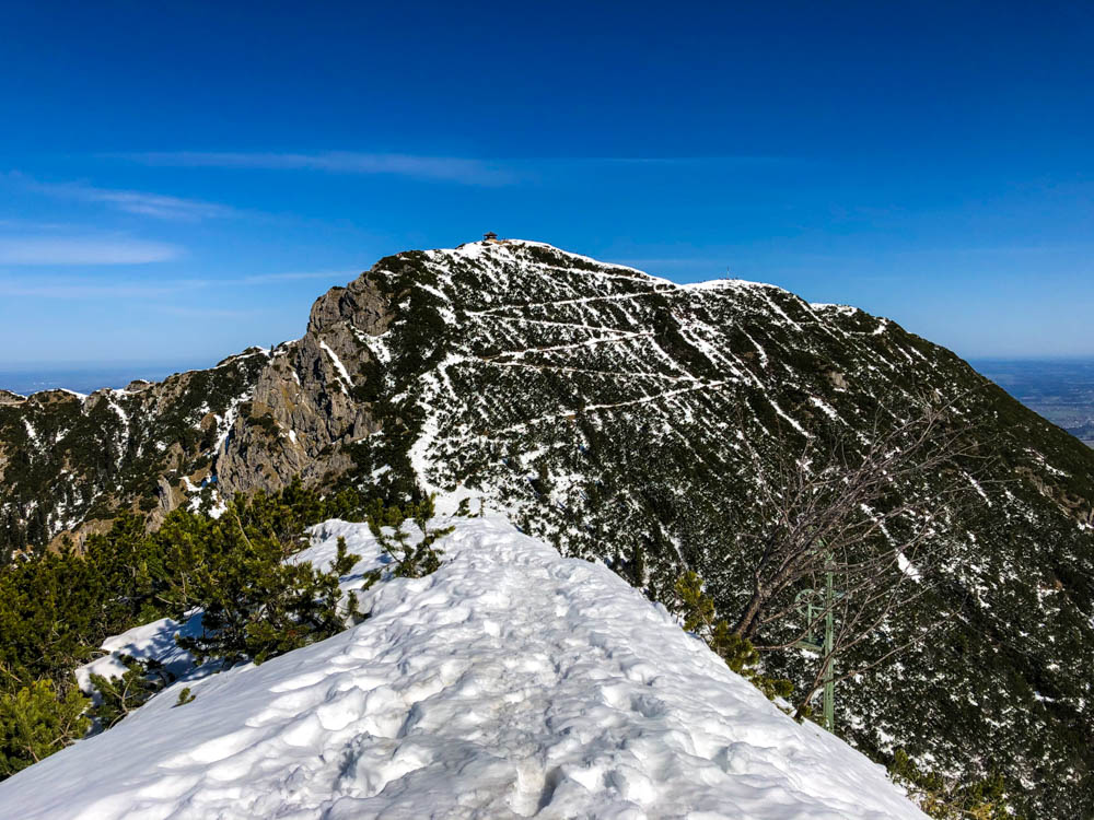 Blick von Martinskopf auf Herzogstand. Es ist schön der Serpentinen Weg zum Herzogstand zu sehen, welcher dank dem Schnee gut zu sehen ist. Der Himmel ist strahlend blau und das weiß des Schnees leuchtet kräftig, dank der Sonne in den Alpen.