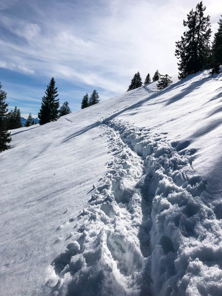 Spur im Schnee von Abstieg. Der Schnee strahlt von der Sonne in den Alpen.