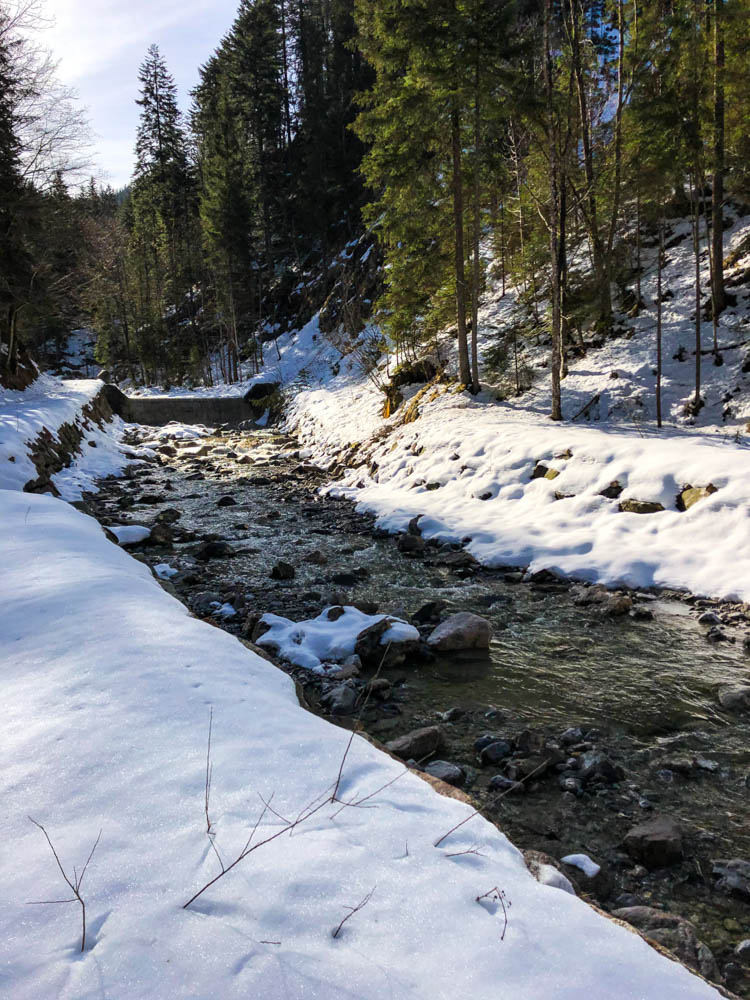 Fluss umgeben von Wald und Schnee
