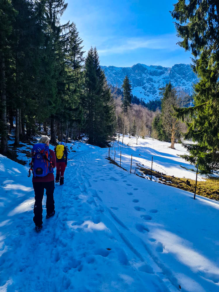 Julian und Melanie auf dem Weg zur Tutzinger Hütte. Sie laufen im Schnee und die Sonne in den Alpen ist stellenweise durch den Wald zu sehen. Der Himmel ist blau.