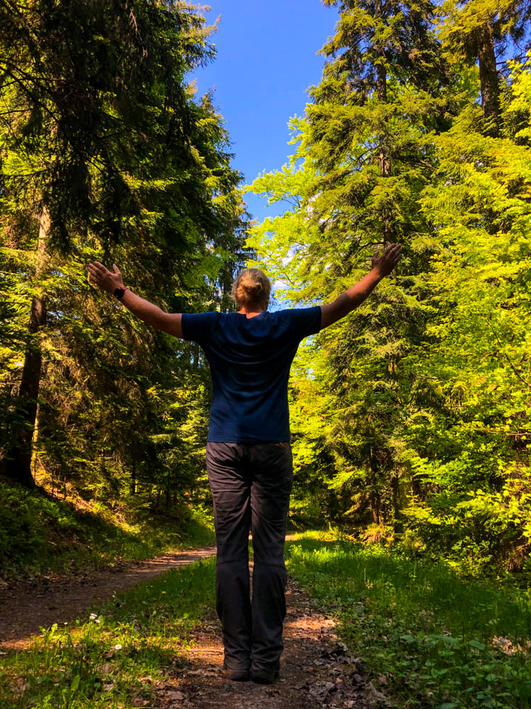 Julian steht im Schwarzwald und hebt die Arme nach oben. Die Bäume ragen neben ihm in die Höhe. Der Himmel ist strahlend blau.