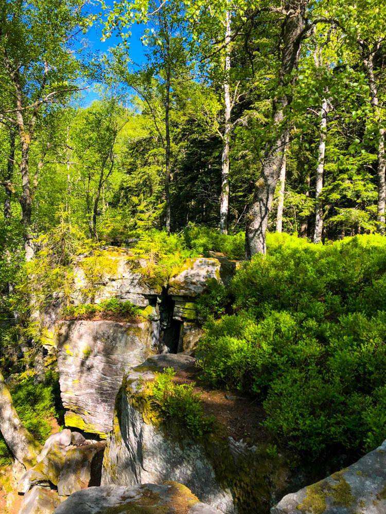 Grüner Schwarzwald mit blauem Himmel. Es sind ein paar Felsen im Vordergrund zu sehen, ansonsten Bäume und grüne Sträucher