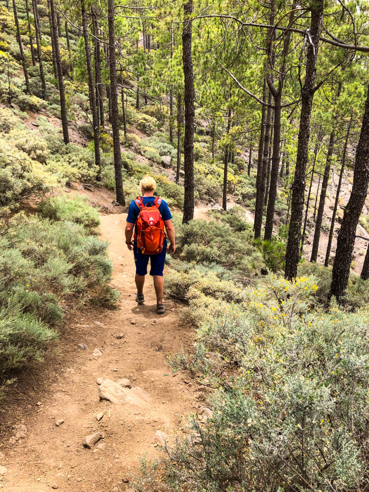 Gran Canaria - Wanderung zu Pico de las Nieves. Julian wandert auf einem Pfad in einem Wald