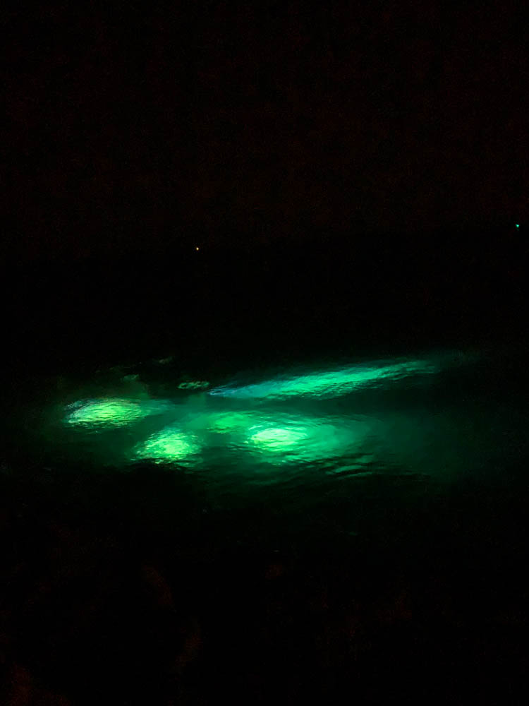 5 Lichter sind unter der Wasseroberfläche zu sehen. Ansonsten ist das Bild komplett schwarz. Blick auf einen Nachttauchgang