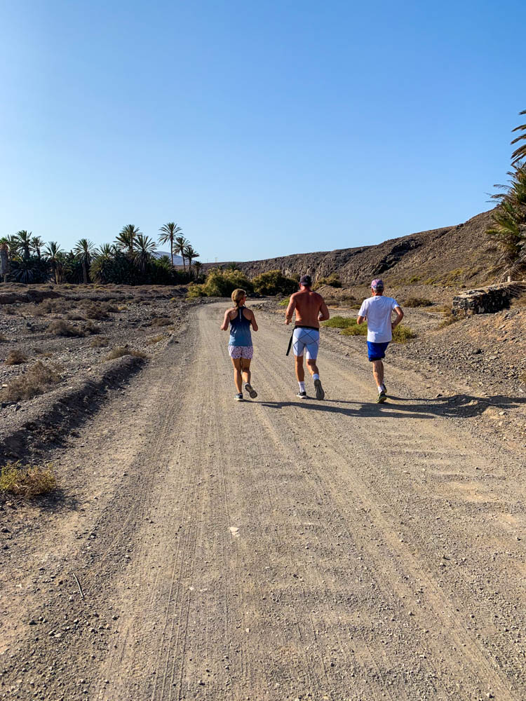Laufgruppe bei Nachmittagssonne. Der Himmel ist strahlend blau, es sind ein paar Palmen im Hintergrund zu sehen und drei Läufer die auf dem Feldweg joggen. Fuerteventura joggend entdecken.
