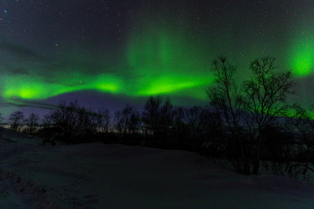 Nordlichter Abisko Nationalpark Schweden