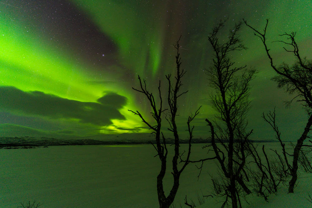 Nordlichter über See Torneträsk im Abisko Nationalpark Schweden