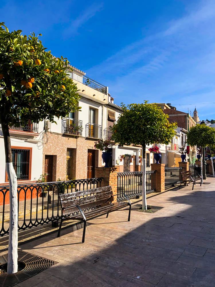 Dorf im Landesinneren von Südspanien. Der Himmel ist blau und in der Allee der Straße sind Orangenbäume zu sehen. Schöne Häuserfronten zieren das Dorf