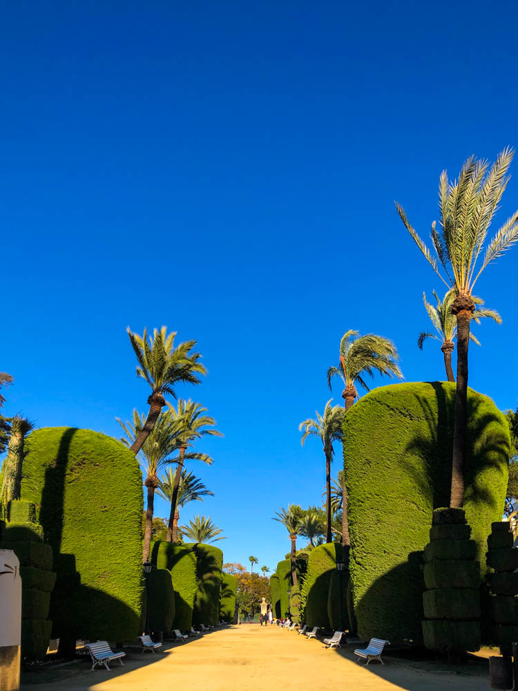 Park in Cadiz. Es sind ein paar Palmen sowie hohe Hecken zu sehen. Der Himmel ist kräftig blau.