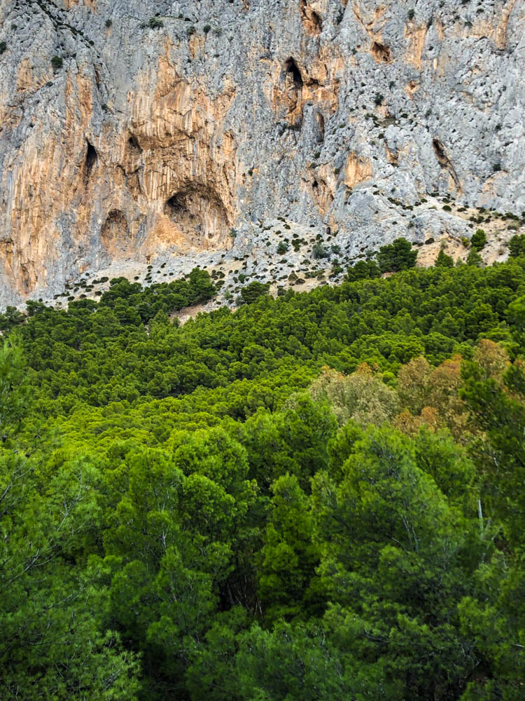 Blick auf Felsmassiv mit Kletterrouten. Der untere Bereich des Bildes ist Wald.