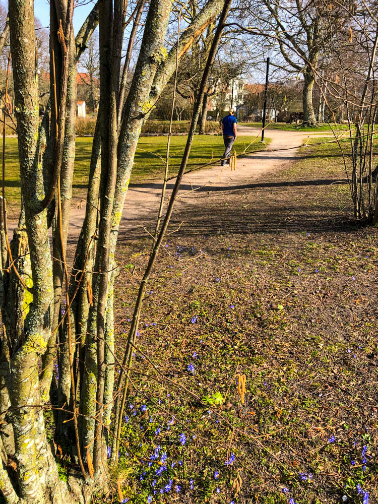Julian spaziert in einem Park in Südschweden