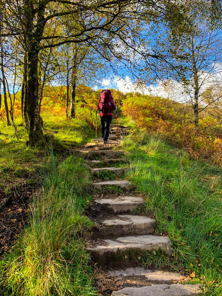 Melanie wandert eine Treppe aus Steinstufen nach oben auf dem West Highland Way. Die Wiesen und Bäume rund herum haben verschiedene grün-töne. Der Himmel ist blau - Trekking Schottland