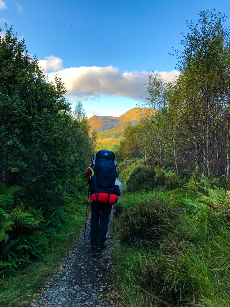 Julian wandert auf dem West Highland Way durch einen Wald. Vor ihm ist eine Hügelkette zu sehen, der Himmel ist blau.