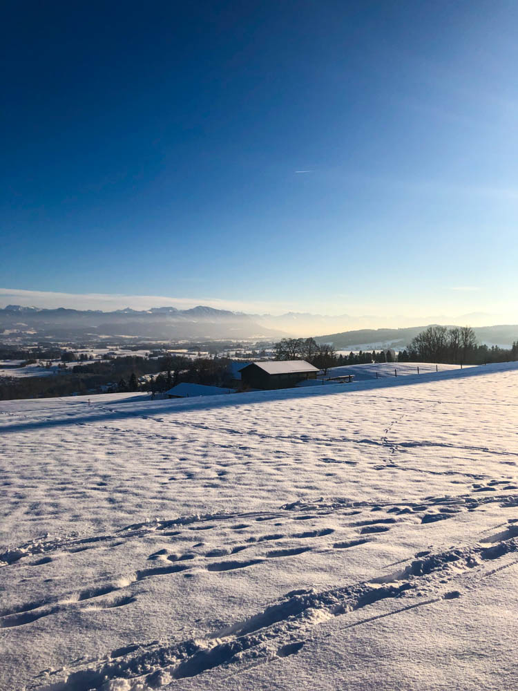 Aussicht auf die Allgäuer Alpen - Winterlandschaft und blauer Himmel
