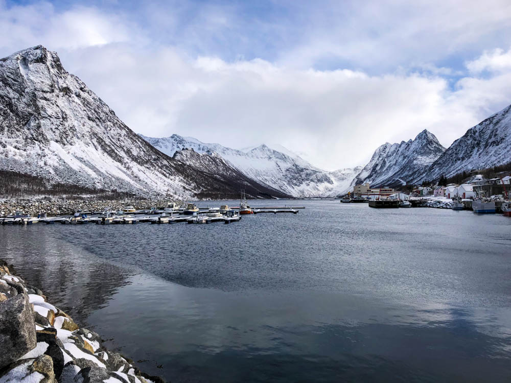 Gryllefjord auf Senja - verschneite Berglandschaft und Fjord