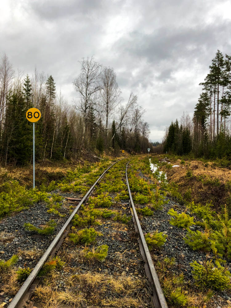 Gleise in Nordschweden, welche mit Gräser bewachsen sind.