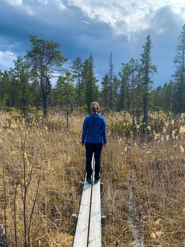 Melanie steht in einem Naturreservat in Nordschweden auf einem Holzsteg und blickt auf die Natur vor ihr. Es sind ein paar Bäume zu sehen sowie einige Gräser.