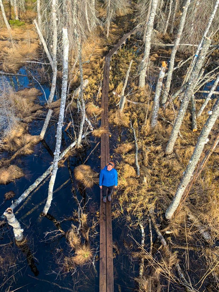 Aufnahme von Melanie von oben in einem Naturreservat in Nordschweden, welche auf einem Holzsteg steht.