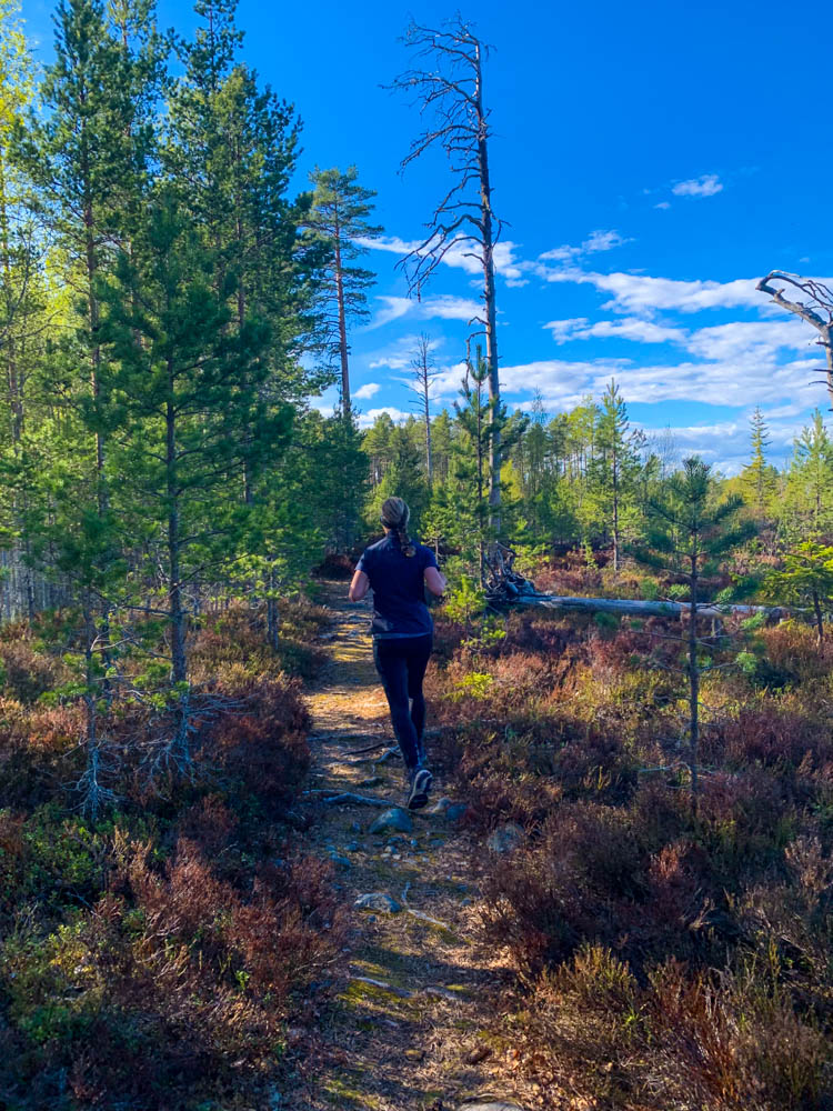 Melanie beim Joggen in Nordschweden im Wald. Der Himmel ist kräftig blau.