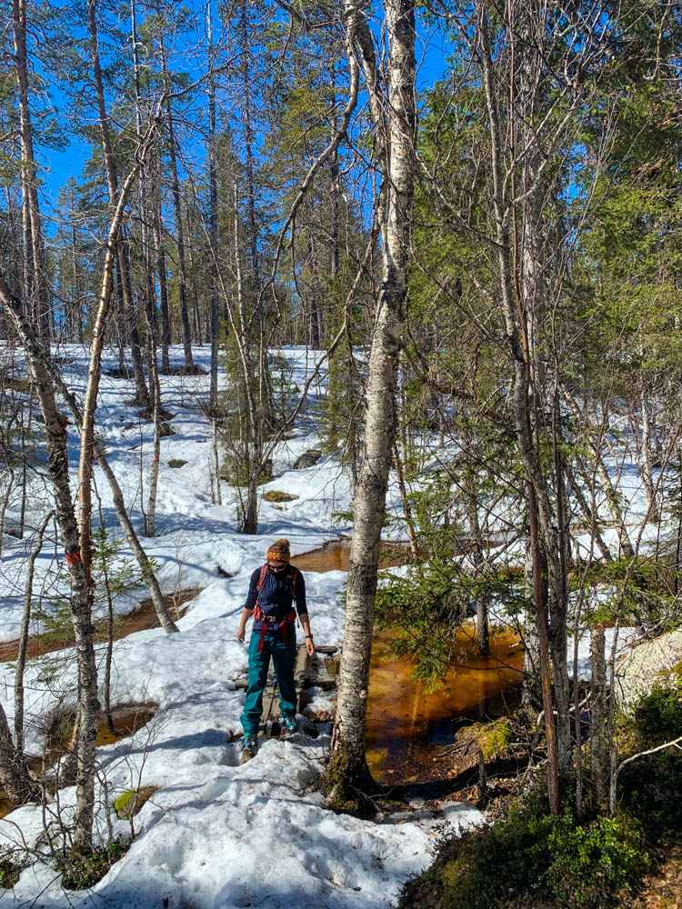 Melanie beim Wandern im Muddus Nationalpark in Nordschweden im Frühling. Es sind noch ein paar Schneereste vom Winter übrig, welche das Vorankommen erschweren.