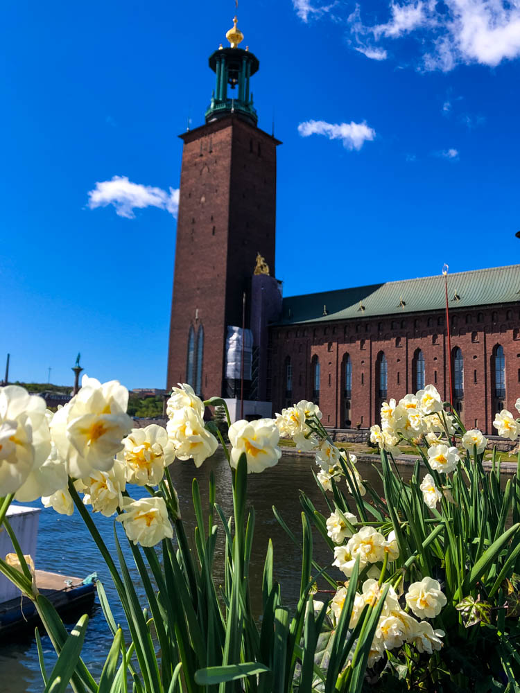 Stadthuset Stockholm - auf der Aufnahme sind ein paar Blumen im Vordergrund, das Stadthuset ist der Hintergrund.
