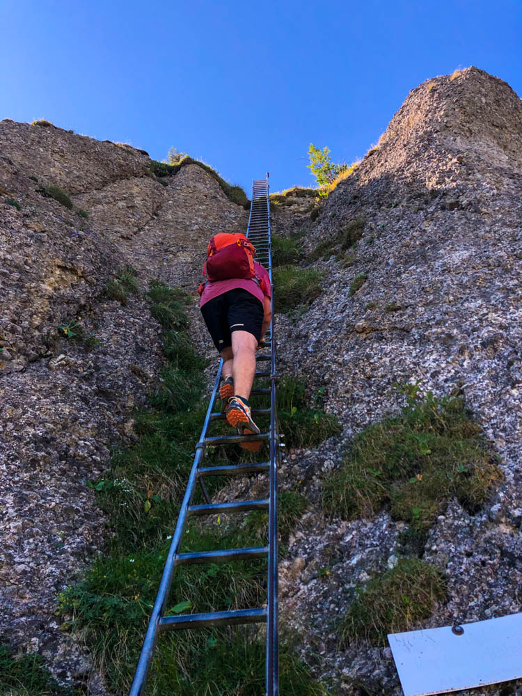 Touren im Allgäu - Julian auf einer langen Leiter im Aufstieg zum Steineberg. Der Himmel ist kräftig blau