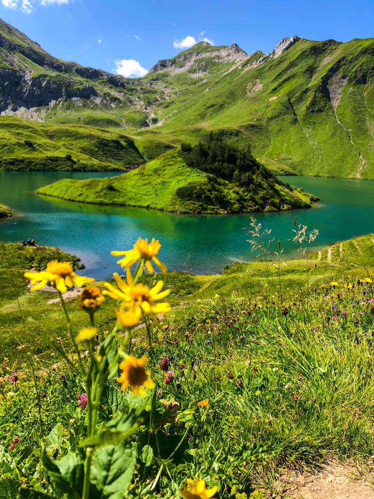 Touren im Allgäu - Schrecksee. Kontrastreiches Bild mit türkisfarbendem Wasser und grünen Wiesenhängen. In der Mitte des Sees ist eine grüne Insel. Im Vordergrund sind ein paar gelbe Blumen zu sehen.