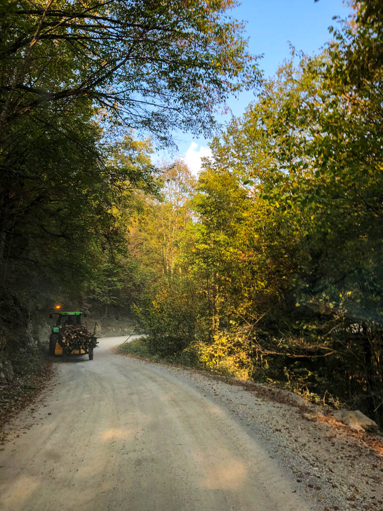 Traktor fährt durch einen Wald. Straße ist eher ein Feldweg