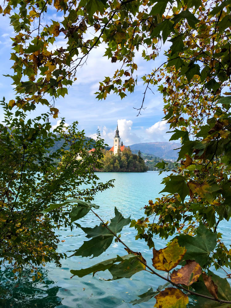 See Bled durch grün-rote Sträucher sowie Bäume am Rand des Sees fotografiert. Die Berge auf der anderen Seite des Sees sind zu sehen sowie eine Insel mit einer Kirche inmitten des Sees. Roadtrip Slowenien