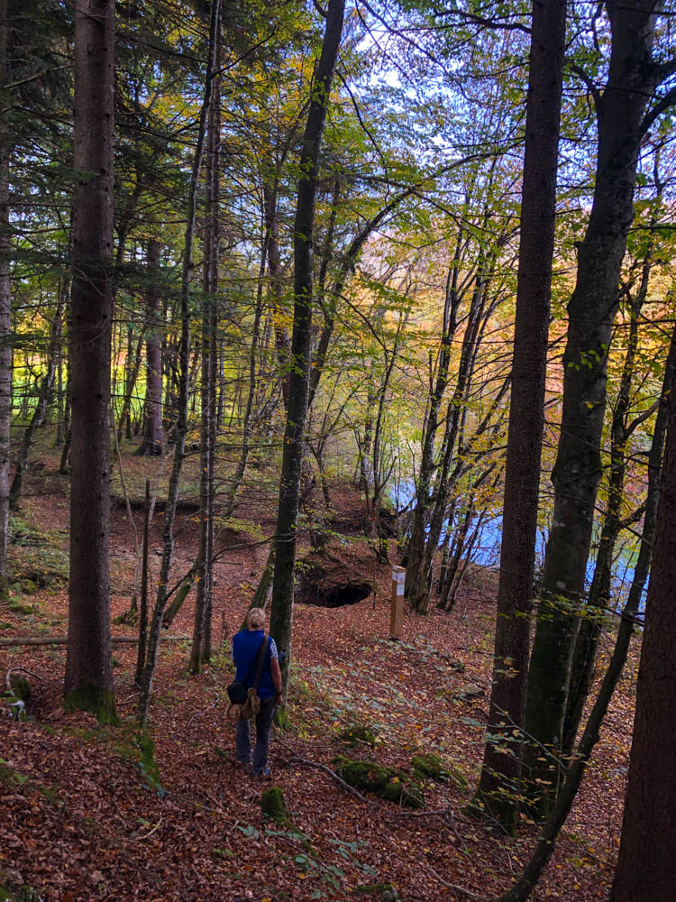 Naturschutzgebiet Cerkniško jezero in Slowenien. Julian spaziert auf einem Waldweg mit herbstlichen Farben