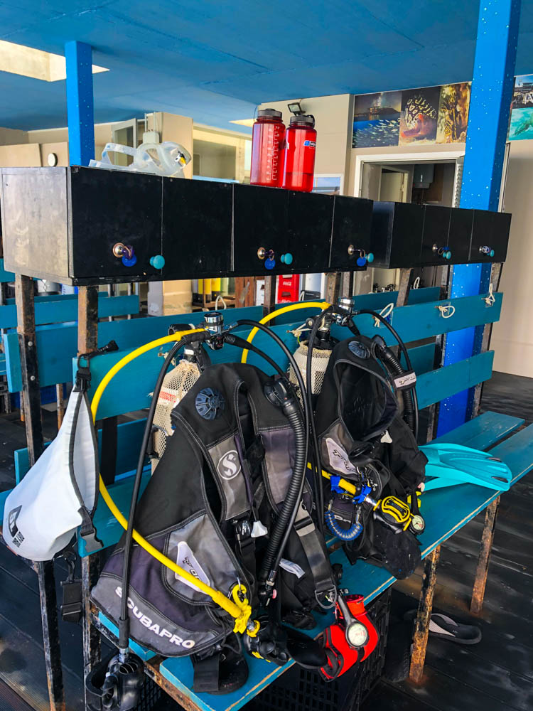 Unser Tauch-Equipment (teilweise Verleih) Deep Blue Diving Center. Unsere Tauchflaschen stehen nebeneinander auf einer Bank.