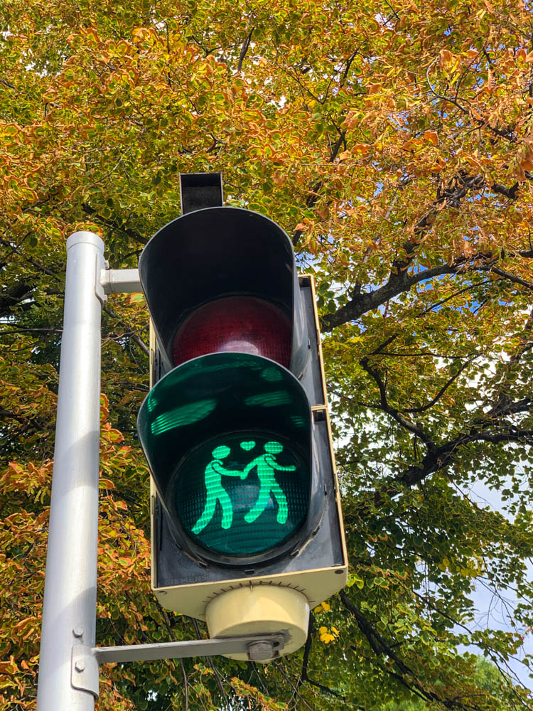 Fußgängerampel in Wien. Die Ampel ist grün und es sind zwei Figuren zu sehen, die Händchen halten. Über ihnen ist ein grünes Herz zu sehen. Hinter der Ampel stehen vom Herbst gefärbte Bäume.