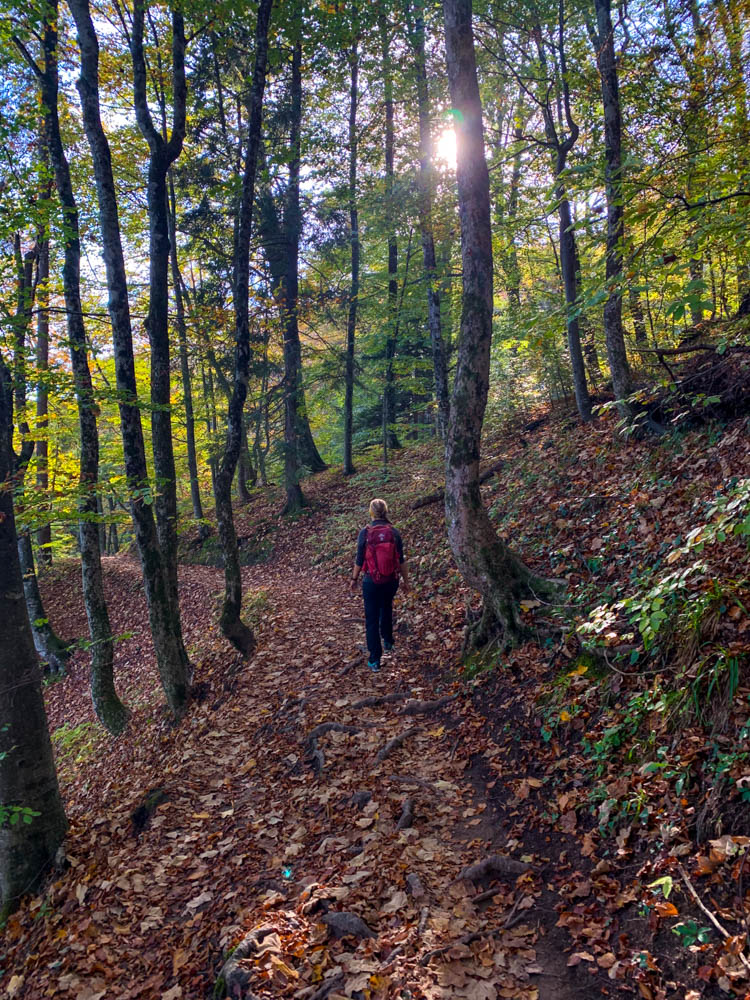 Melanie wandert durch ein Waldgebiet im Nationalpark Plitvicer Seen in Kroatien. Die Sonne scheint durch die Baumkronen.