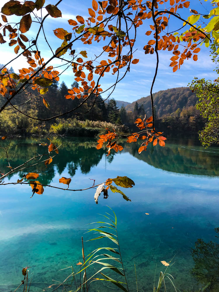 Orange-braun verfärbte Zweige hängen ins Bild. Es ist ein See zu sehen, welcher glasklar ist, am Horizont ist ein Wald. Nationalpark Plitvicer Seen in Kroatien