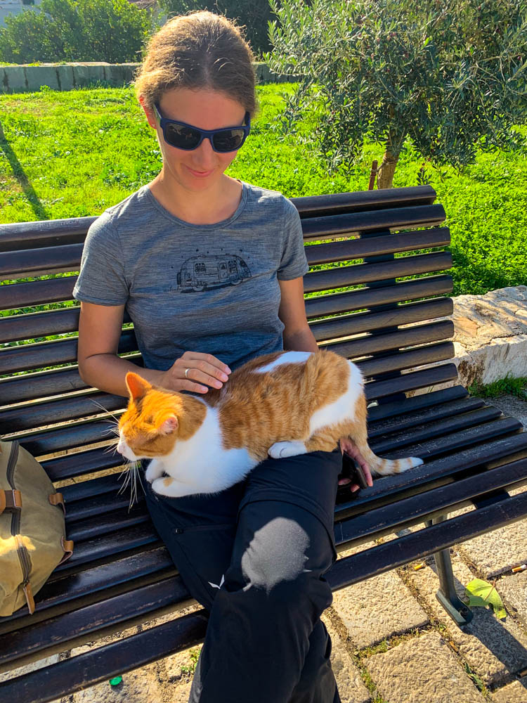 Melanie sitzt auf einer Bank in Kotor. Auf ihrem Schoß liegt eine Katze, welche von Melanie gestreichelt wird.