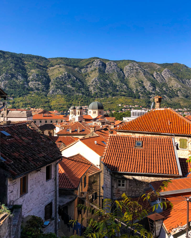 Blick auf Altstadt Kotor mit einigen Häusern und Kirchen. Am Horizont ist eine Hügellandschaft zu sehen, der Himmel ist kräftig blau. Roadtrip Montenegro