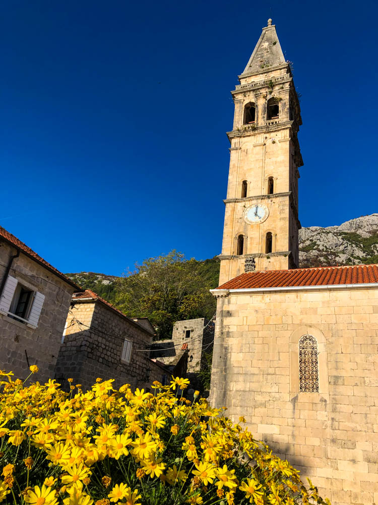 Kirche in Perast Montenegro. Vor der Kirche ist ein großer Busch mit gelben Blüten. Der Himmel ist kräftig blau. Roadtrip Montenegro