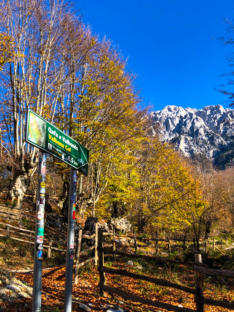 Wanderung zum Valbona Pass von Theth Albanien. Herbstliche Farben, am Horizont sind Berge zu sehen und der Himmel ist kräftig blau.
