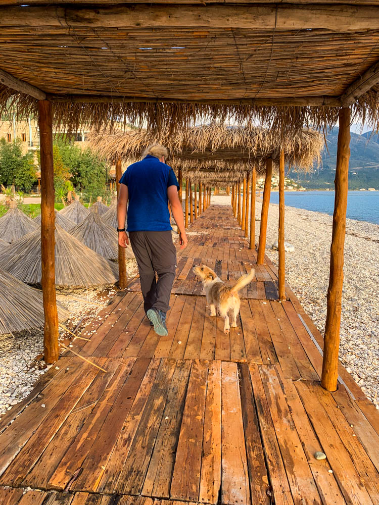 Julian geht mit einem Straßenhund am Strand spazieren. Sie laufen gerade auf Holzstegen, welche von Strohdächern überdacht sind. Reiseerlebnisse in Südalbanien