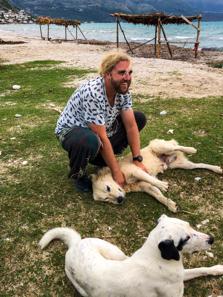 Julian am Strand in Südalbanien. Es liegen zwei Straßenhunde vor ihm und er streichelt einen der beiden Hunde.