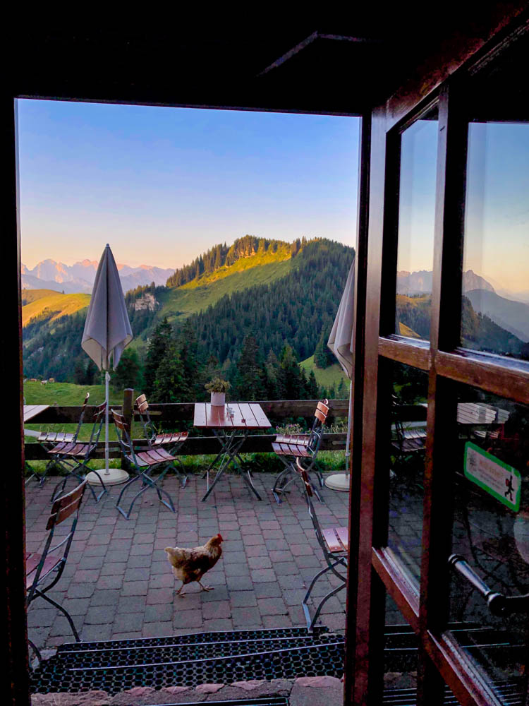 Blick aus der Priener Hütte auf Terrasse und Kaisergebirge am Morgen. Ein Huhn läuft gerade an der Tür vorbei. Hüttenjob in den Chiemgauer Alpen - Arbeiten in den Bergen